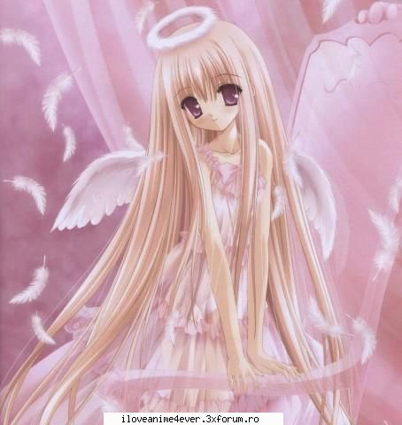 poze anime angels Membru