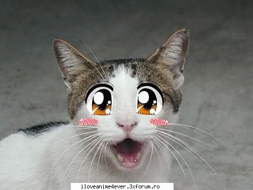 bun venit ! :hi:  :razz: imi pare bine de cunostinta :nod:  :razz: helow!