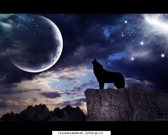 animeurile mele preferate sunt: naruto , shugo chara , mew mew power , inuyasha si trinity blood