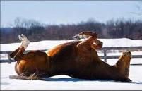 bucur venit noi forum draga mea verisoara sper simti bine distrezi pupacesc mult dulce tot byebye