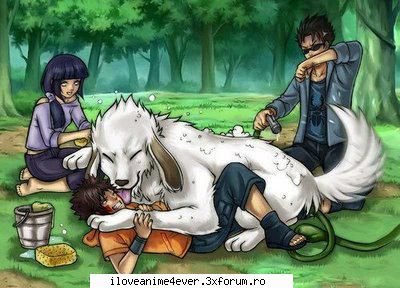 kiba inzuka akamaru simpatik era uit akamaru pfos: