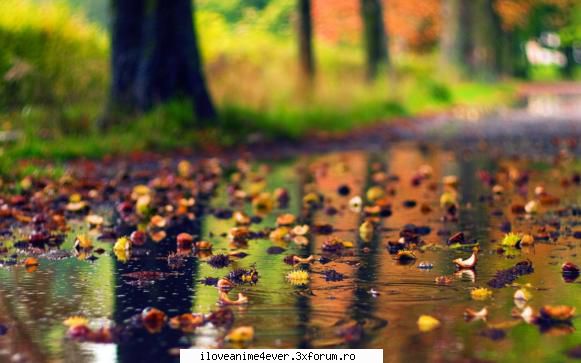 oare s-a intamplat tie asa viata reala??? este foarte frumos one shotul. chiar mi-a placut mult m-a