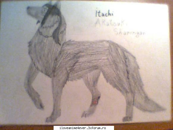 Fan art(nu va ganditi la niste minunatii) - Ralu - Fan Art