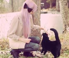 ~Intrebari ca intre prieteni~ - Ce animale preferate aveti?Aveti animale de - Cafenea