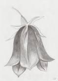 niste fan arturi - denieverlove - Fan Art