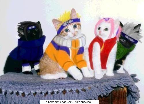 nota pentru poza - Aww..Primeste 10*** cu stelute. Ce nota?Meoww - Jocuri